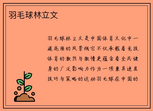 羽毛球林立文